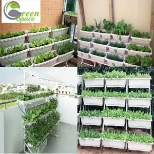 Giá kệ trồng cây
