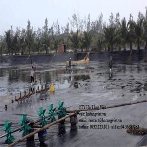Thi công màng chống thấm HDPE hồ nuôi thủy sản