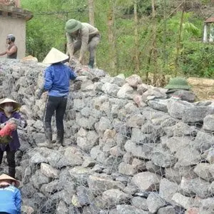 Ứng dụng Rồng đá
