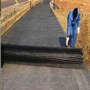 Dịch vụ thi công lưới địa kỹ thuật