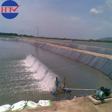 Màng chống thấm HDPE ứng dụng Nuôi trồng thủy sản