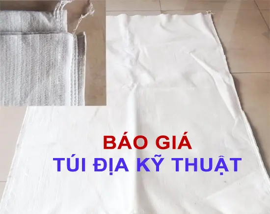 Báo giá túi địa kỹ thuật