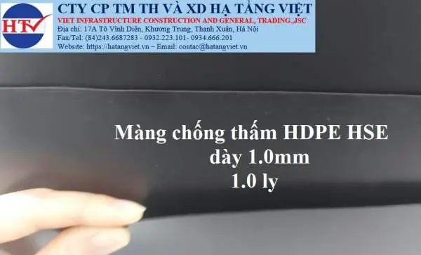 màng 1.0